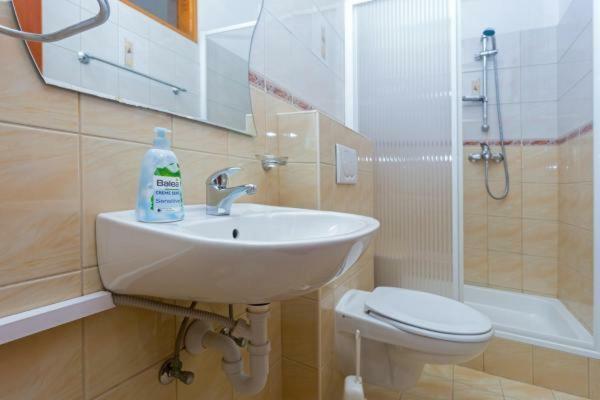 Apartments Balic イバン・ドーラッツ エクステリア 写真